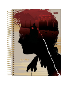 Caderno Harry Potter Capa Dura 1 Matéria Jandaia 96 Folhas - Modelo 2