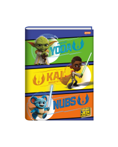 Caderno Brochura Universitário Capa Dura 48 Folhas Young Jedi Jandaia - Modelo 3