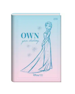 Caderno Brochura 1/4 Capa Dura 80 Folhas Disney 100TH Jandaia - Modelo 1