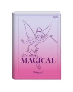Caderno Brochura 1/4 Capa Dura 80 Folhas Disney 100TH Jandaia - Modelo 2