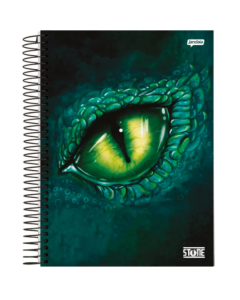 Caderno Dinossauro 1 Matéria Capa Dura 80 Folhas Stone - Modelo 3