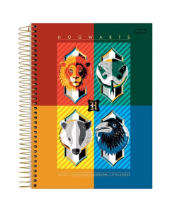 Caderno Harry Potter Capa Dura 1 Matéria Jandaia 96 Folhas - Modelo 6